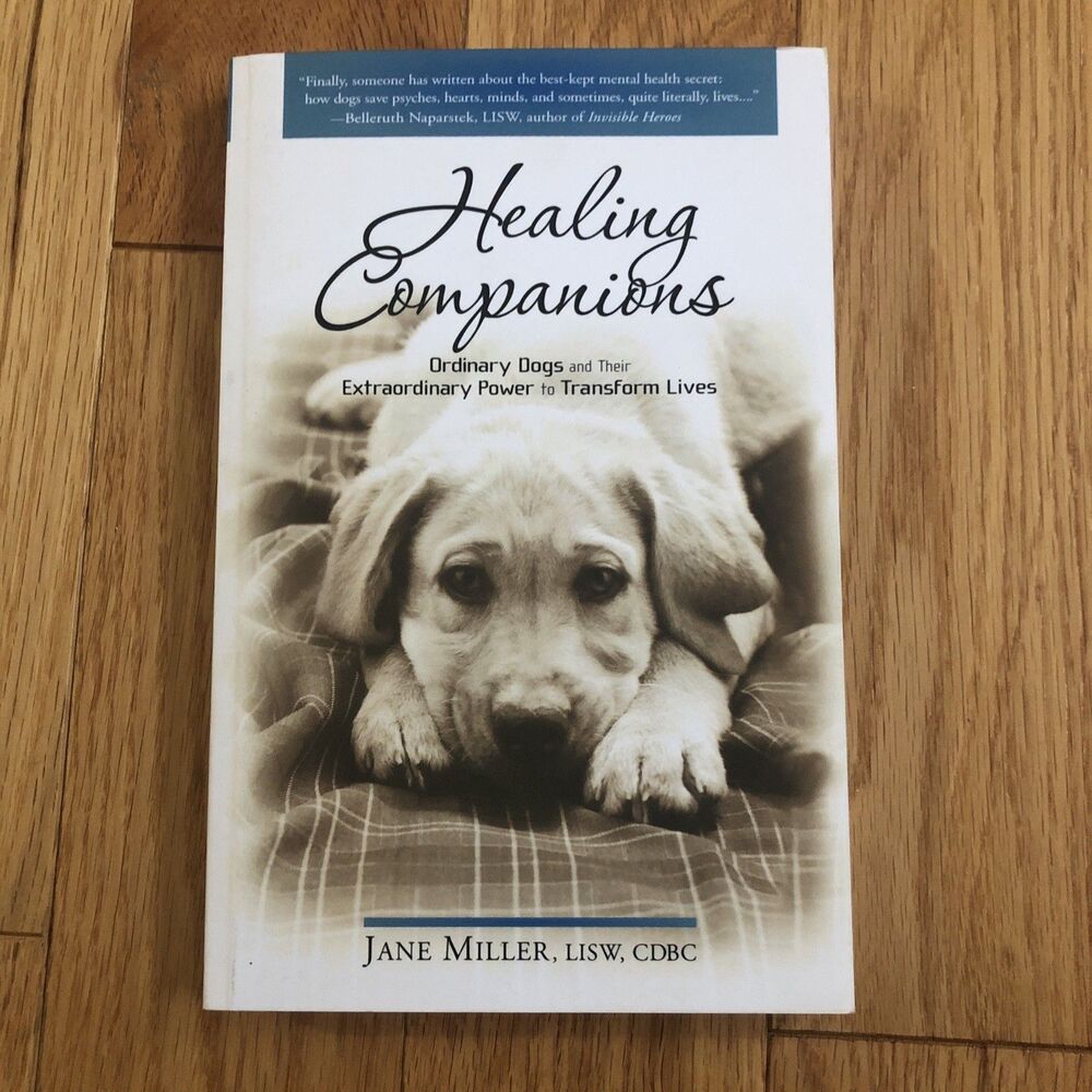 Healing Companions Paperback Jane Miller